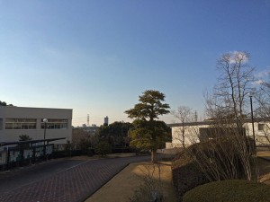 IMG_3341