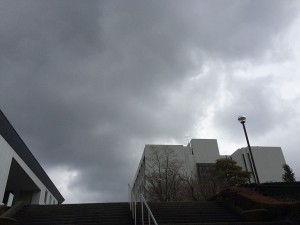 IMG_3406