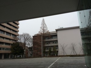 IMG_3421