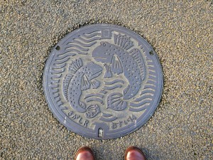 IMG_3728