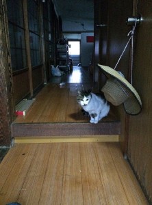 IMG_3739