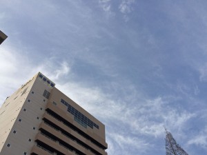 IMG_3781