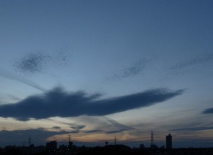 _0030909
