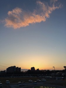 IMG_3828