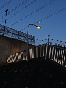 IMG_3834