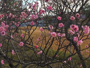 IMG_3840