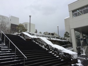 IMG_3961