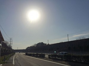 IMG_4124