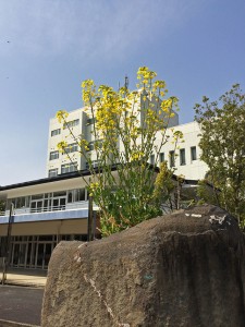 IMG_4302