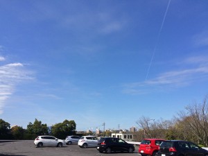 IMG_4538