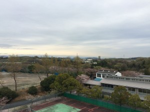IMG_4621