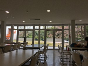IMG_4627