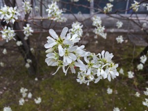 IMG_4647