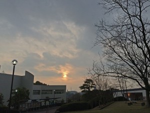 IMG_4653