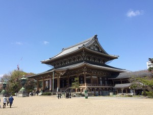 IMG_4669