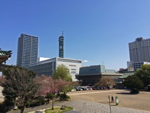 IMG_4679