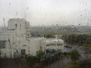 IMG_4737