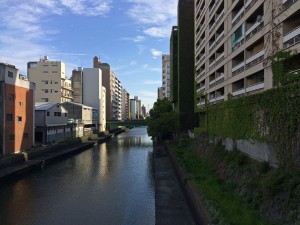 IMG_4823