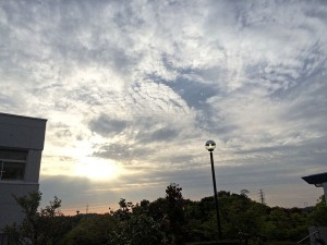 IMG_4844