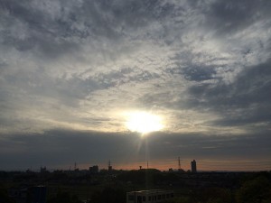 IMG_4846