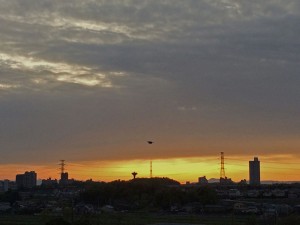 IMG_4852