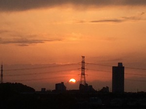 IMG_4900