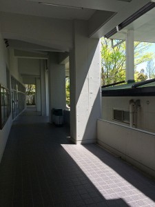 IMG_4916