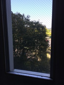 IMG_4918