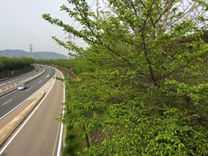 IMG_4937