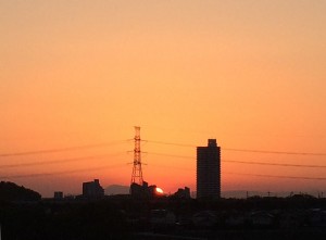 IMG_4970