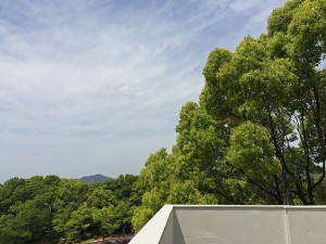 IMG_5119