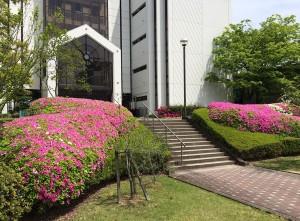 IMG_5122