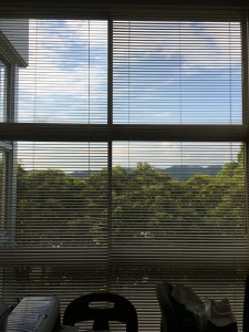 IMG_5133