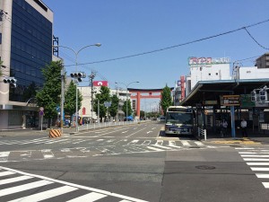 IMG_5134