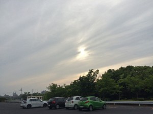 IMG_5252