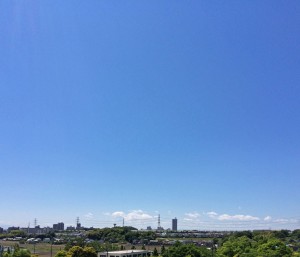 IMG_5317