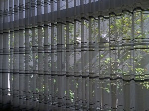 IMG_5318