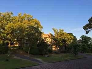 IMG_5323