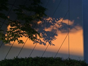 IMG_5364
