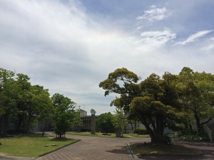IMG_5391