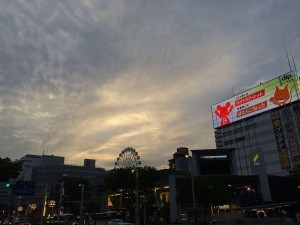 IMG_5407