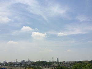 IMG_5415