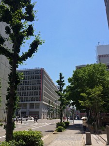 IMG_5422