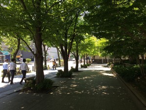 IMG_5423