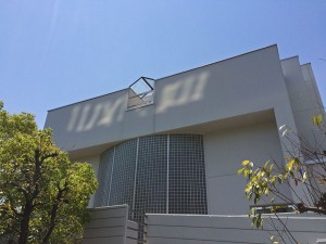 IMG_5442