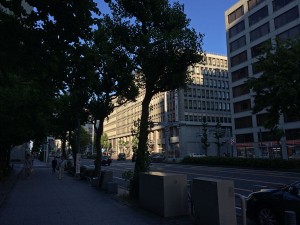 IMG_5507