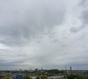 IMG_5512