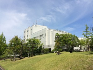 IMG_5518