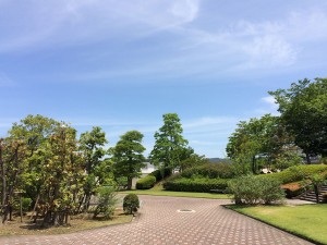IMG_5519