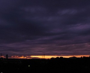 _0032590